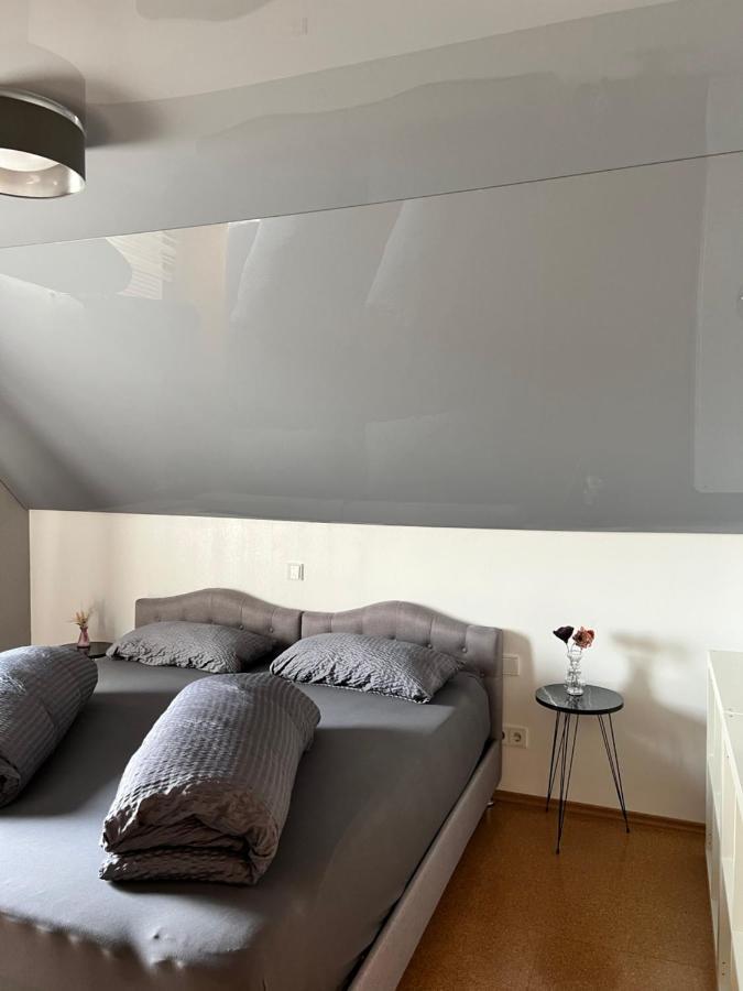 Lifestyle Apartment Sinsheim Dış mekan fotoğraf