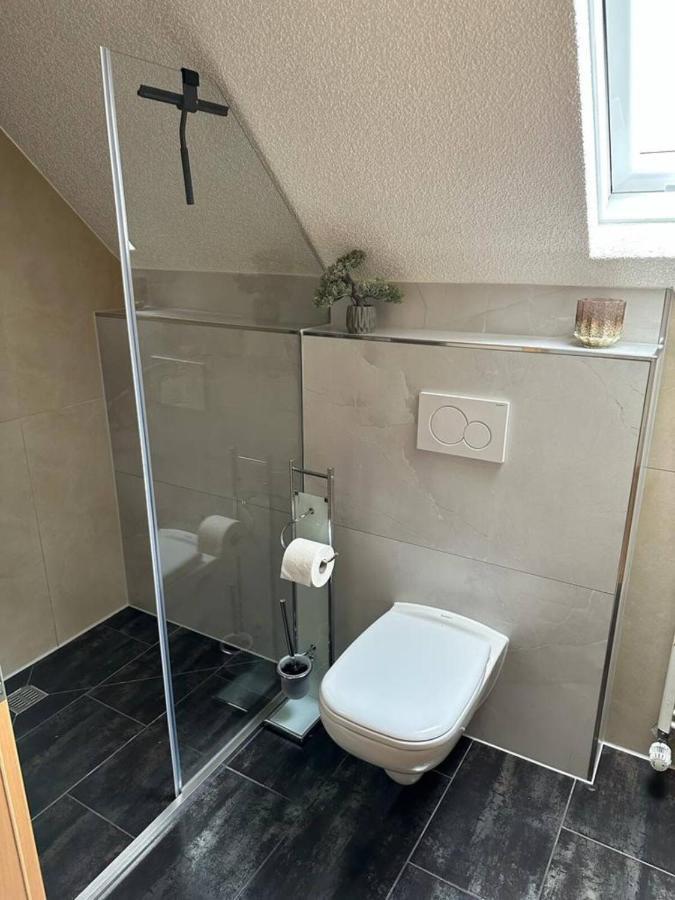 Lifestyle Apartment Sinsheim Dış mekan fotoğraf